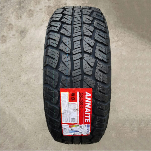 Hilo annaite brand China tire 195/65 r15 tires - Image 4