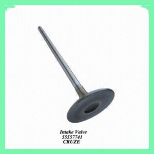 Auto Engine Intake Valve for CHEVROLET CRUZE 55557741