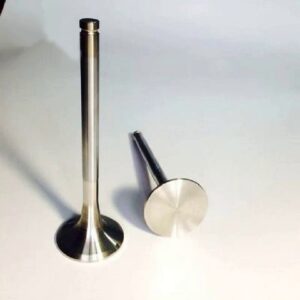 137110L010 engine Intake & Exhaust Valve with cheap price