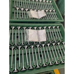 Factory in stock 059109601F Intake & Exhaust Valve Hot selling china supplier auto parts