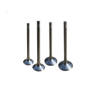 03L109601A 03L109611A Engine Intake Exhaust Valve For Audi A3 VW Beetle Golf 1.6 TDI CAYB CAYC