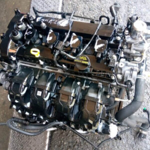 Ranger TDCI 3.0 WEAT Engine 11-20 Seats 51-70 km/h Max Speed Austria